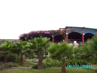 Bravo Club Vila Do Farol 4*