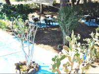 Holiday Eolie Village
