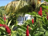 Fleurs des Iles 2*