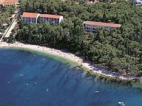 Vlacica 3*