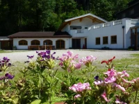 Gasthof Steinbrau 2*