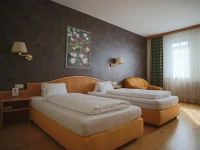 Stadthotel Pinkafeld 4*
