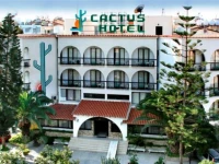 Cactus 2*