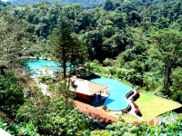 Peace Lodge