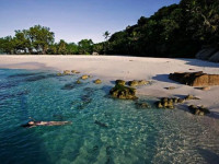 Cousine Island