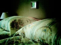 Loo Guesthouse 4*