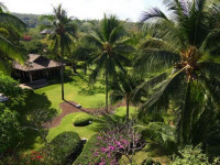 The Tamarind