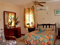 Carib Beach Apartments Negril 3*