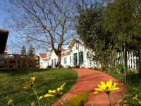 Metula Estate 3*