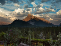 The Juniper Hotel