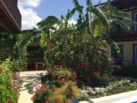 Paradise Garden Apartments 1*