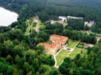 Violeta 4*