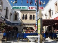 Hamilton 2*