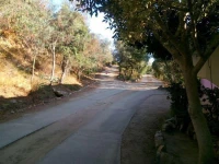 Hotel Oleandro 3*