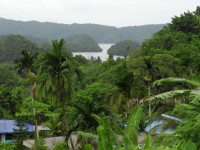 DW Motel Palau