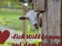 Bodenhof Ferienwohnungen Haselsberger 2*