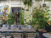 Moni Gallery Hostel 1*