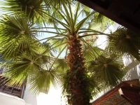 Riad Magie DOrient 2*