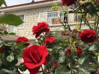 Alacati Sorf Hotel 2*