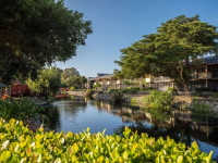 Park Shore Resort