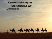 Camel Trekking Bivouac 1*