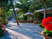 Greco Hotel 3*