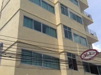 Penguin House 2*