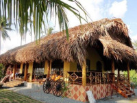 Mango Homestay