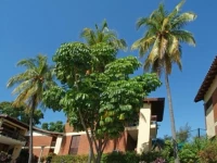 Cubanacan Versalles 4*