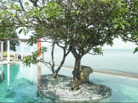 Villa Simha Bali