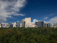 Hyatt Regency Mexico City 5*