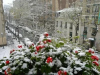 Alize Grenelle 3*