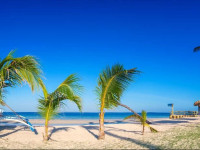 Marlins Beach Resort