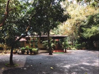 Palm Grove Service Villa 2*