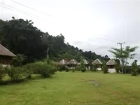 Many Home 2*