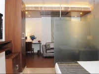 The Grand Vikalp 3*