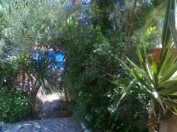 Danae Villa 3*