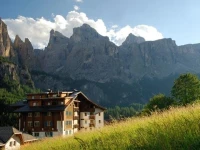 Gran Ciasa and Residence Vila 3*