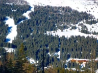 Carlo Magno Zeledria 4*