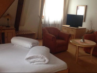 Zlaty Lev Hotel