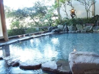 Senkei Hotel 4*