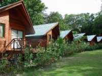 Dolphin Bay Resort & Peleliu Divers