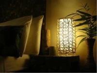 Coconut Lodge 3*