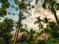 Grassroots Wayanad 3*