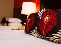 Peacock Suites