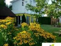 Gartenappartement Ybbs 4*