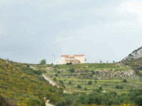 Sunshine Studios Karavados