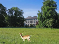 Coopershill House