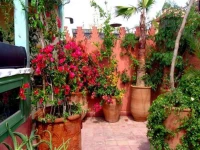 Riad Sesame 