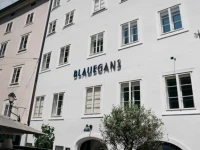 Arthotel Blaue Gans 4*